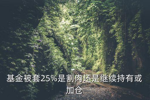 基金被套25%是割肉還是繼續(xù)持有或加倉(cāng)