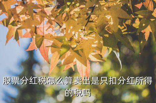 股票分紅是怎么算的,股票分紅稅怎么算