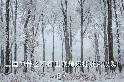 美國為什么不打壓聯(lián)想還批準(zhǔn)它收購IBM