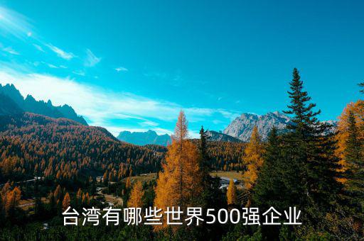 世界500強(qiáng)有多少美國企業(yè),臺灣有哪些世界500強(qiáng)企業(yè)