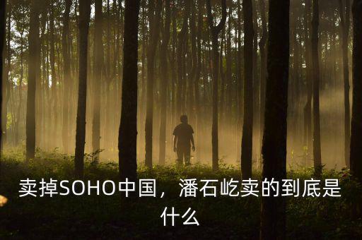 賣掉SOHO中國，潘石屹賣的到底是什么