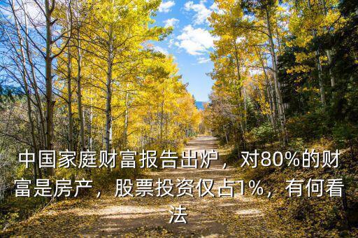 中國(guó)家庭財(cái)富報(bào)告出爐，對(duì)80%的財(cái)富是房產(chǎn)，股票投資僅占1%，有何看法