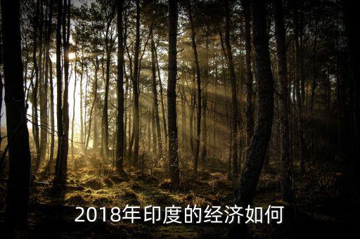 2018年印度的經(jīng)濟(jì)如何