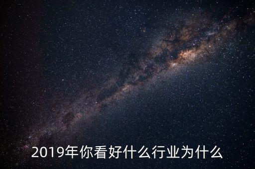 2019年你看好什么行業(yè)為什么