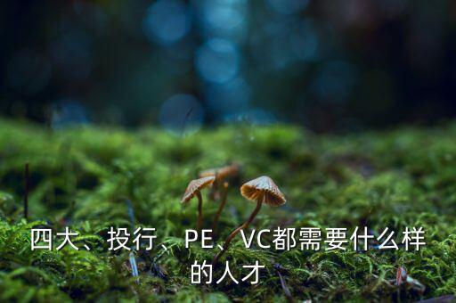 四大、投行、PE、VC都需要什么樣的人才