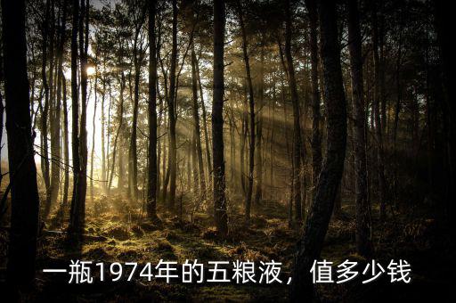 一瓶1974年的五糧液，值多少錢