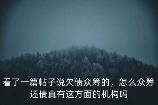 看了一篇帖子說欠債眾籌的，怎么眾籌還債真有這方面的機構(gòu)嗎