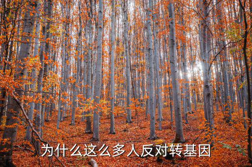 為什么這么多人反對(duì)轉(zhuǎn)基因