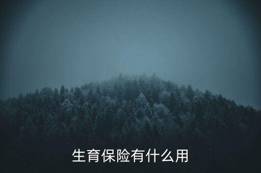 生育保險(xiǎn)有什么用