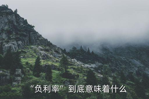 “負(fù)利率”到底意味著什么