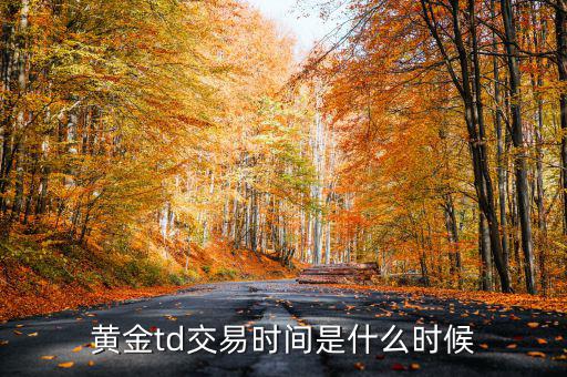 黃金td交易時(shí)間是什么時(shí)候