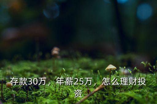 存款30萬，年薪25萬，怎么理財(cái)投資