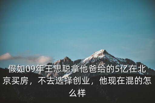 假如09年王思聰拿他爸給的5億在北京買房，不去選擇創(chuàng)業(yè)，他現(xiàn)在混的怎么樣