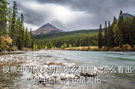 股票每筆成交怎么看,怎么看出是主動(dòng)買(mǎi)入還是賣(mài)出