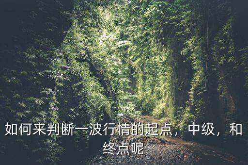 什么是中級(jí)行情,目前股市行情屬于中級(jí)反彈