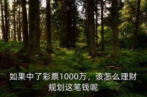 1000萬(wàn)怎么理財(cái),1000萬(wàn)不買(mǎi)房怎么理財(cái)