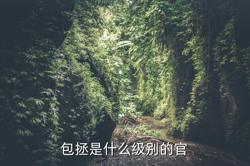 包拯是什么級(jí)別的官