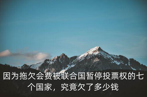 因?yàn)橥锨窌?huì)費(fèi)被聯(lián)合國(guó)暫停投票權(quán)的七個(gè)國(guó)家，究竟欠了多少錢