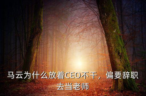 馬云為什么不做ceo,為什么馬云一邊說不做游戲