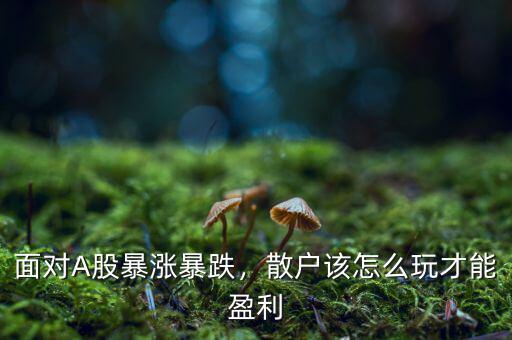 面對(duì)A股暴漲暴跌，散戶該怎么玩才能盈利