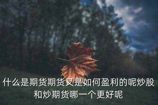 什么是期貨期貨又是如何盈利的呢炒股和炒期貨哪一個更好呢