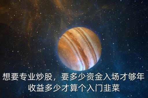 想要專業(yè)炒股，要多少資金入場才夠年收益多少才算個入門韭菜