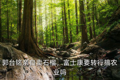 郭臺銘親自賣石榴，富士康要轉(zhuǎn)行搞農(nóng)業(yè)嗎