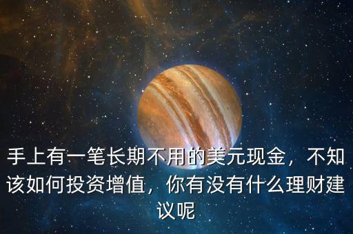 手上有一筆長期不用的美元現(xiàn)金，不知該如何投資增值，你有沒有什么理財(cái)建議呢