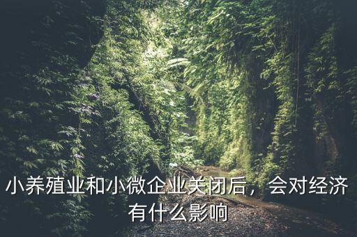 小養(yǎng)殖業(yè)和小微企業(yè)關(guān)閉后，會(huì)對(duì)經(jīng)濟(jì)有什么影響