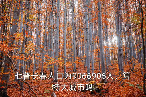 七普長(zhǎng)春人口為9066906人，算特大城市嗎