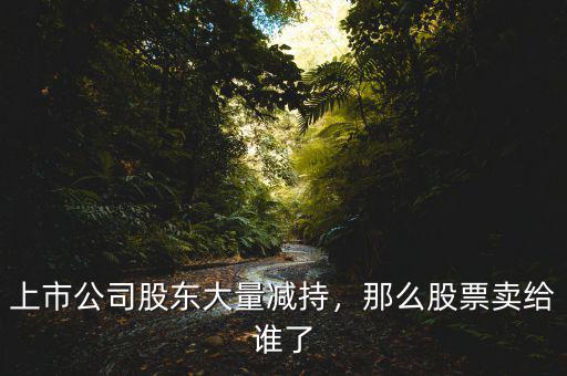 上市公司股東大量減持，那么股票賣給誰了