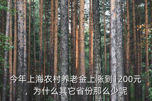 今年上海農(nóng)村養(yǎng)老金上漲到1200元，為什么其它省份那么少呢