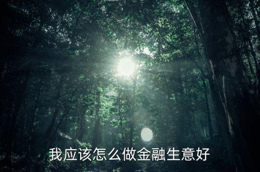 我應(yīng)該怎么做金融生意好