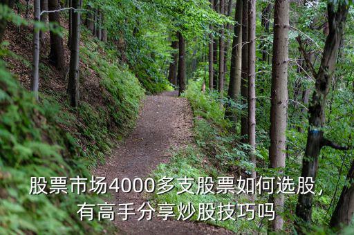 股票市場(chǎng)4000多支股票如何選股，有高手分享炒股技巧嗎