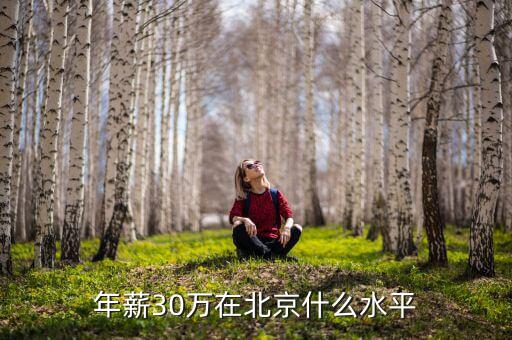 年薪30萬(wàn)屬于什么水平,年薪30萬(wàn)在北京什么水平