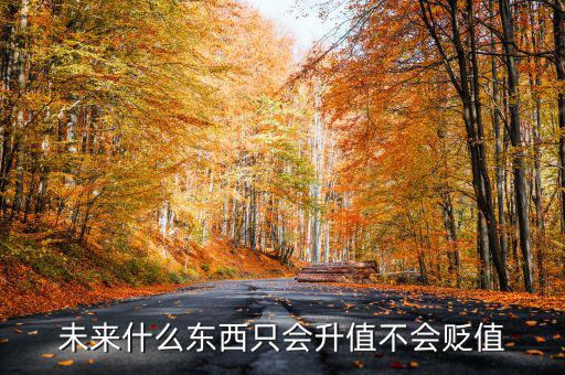 什么不會(huì)貶值,什么東西永遠(yuǎn)不貶值