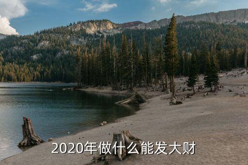 2020年做什么能發(fā)大財(cái)