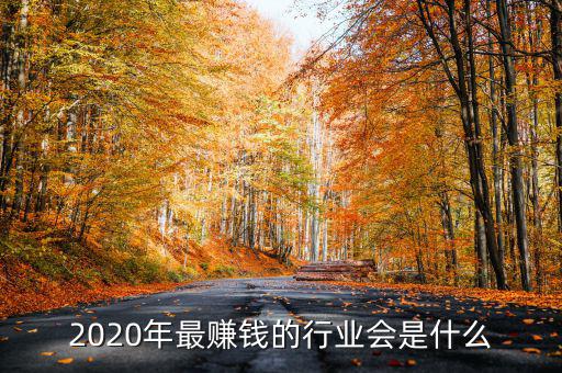 205年什么年最轉(zhuǎn)錢(qián),2020年做什么最賺錢(qián)