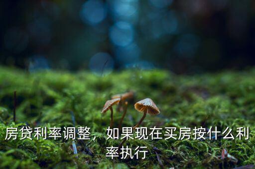 房貸利率調(diào)整，如果現(xiàn)在買(mǎi)房按什么利率執(zhí)行