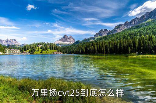 萬里揚(yáng)待遇怎么樣,萬里揚(yáng)cvt25到底怎么樣