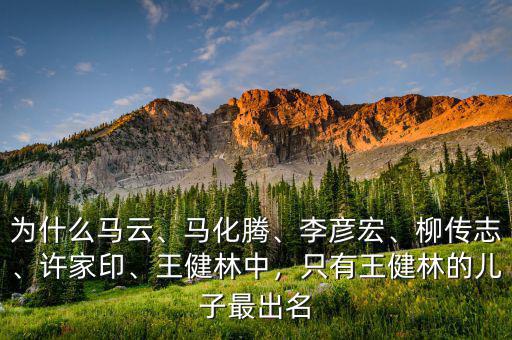 為什么馬云、馬化騰、李彥宏、柳傳志、許家印、王健林中，只有王健林的兒子最出名