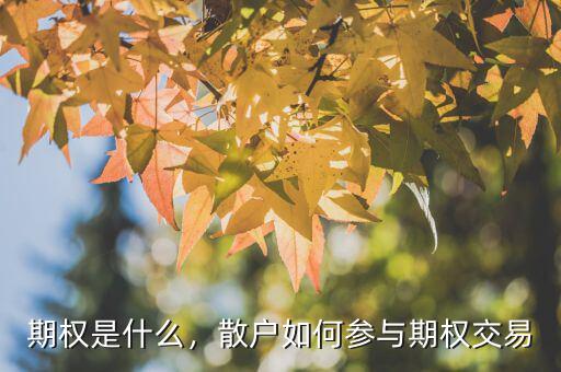 期權(quán)是什么，散戶如何參與期權(quán)交易