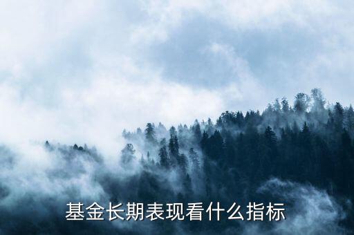 基金長(zhǎng)期表現(xiàn)看什么指標(biāo)