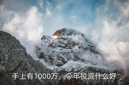 手上有1000萬，今年投資什么好