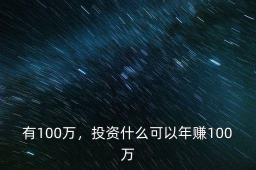 有100萬，投資什么可以年賺100萬