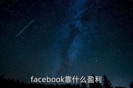 facebook靠什么盈利