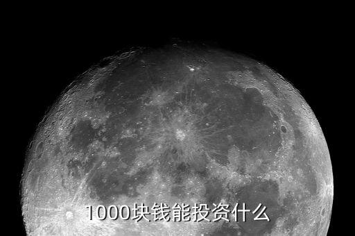 誰(shuí)知道1000元投資什么理財(cái)好,我有1000元