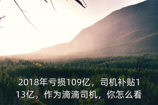 2018年虧損109億，司機(jī)補(bǔ)貼113億，作為滴滴司機(jī)，你怎么看