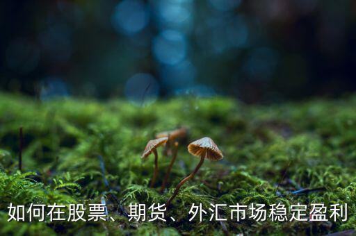 如何在股票、期貨、外匯市場(chǎng)穩(wěn)定盈利