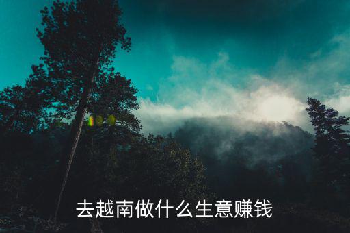 邊境地區(qū)做什么生意,去越南做什么生意賺錢